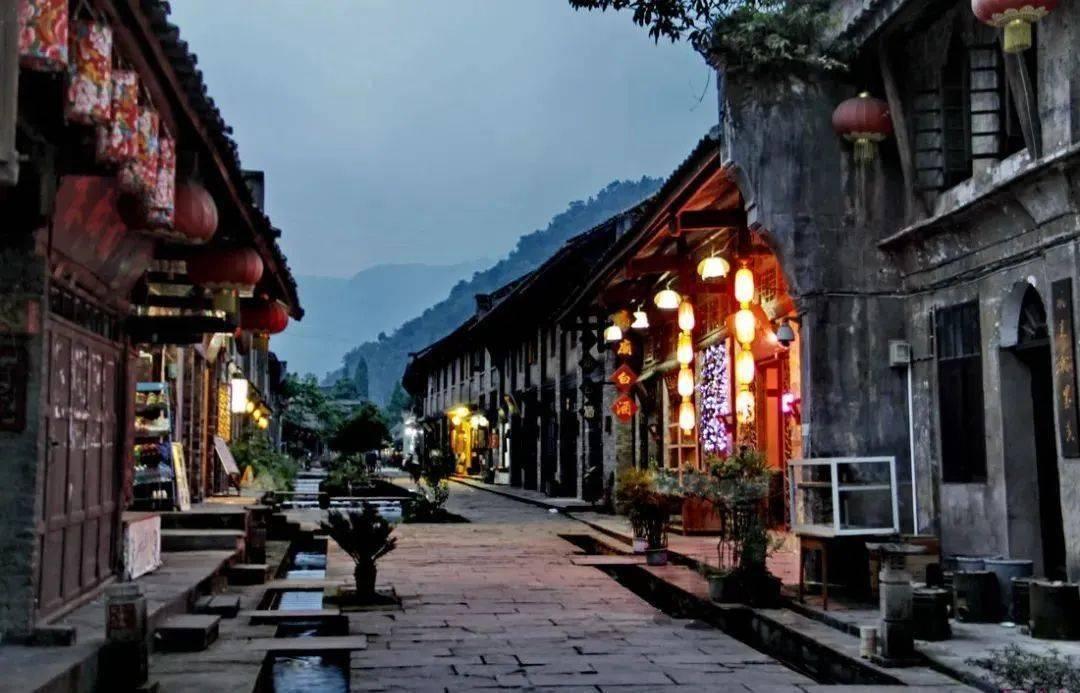 狐狸的旅程